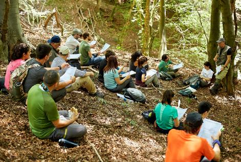 Certificazione forestale e monitoraggio del carbonio: potenzialità per una gestione forestale sostenibile in Molise