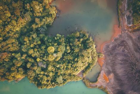 Nuovi webinar su requisiti e allineamento all’EUDR del sistema FSC