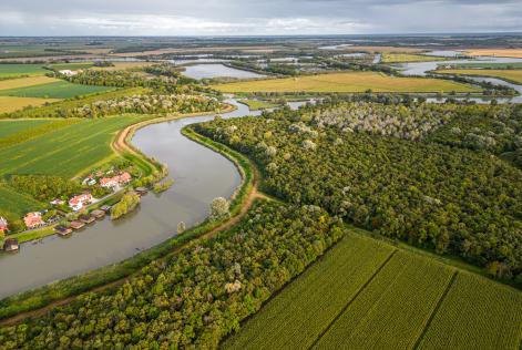 Cos’è la Nature Restoration Law e perché è così importante