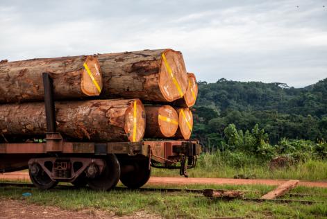 Pubblicata una nuova interpretazione sulla Catena di Custodia FSC