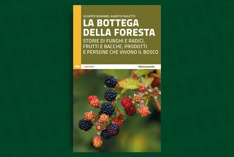 Un nuovo libro sui prodotti forestali non legnosi