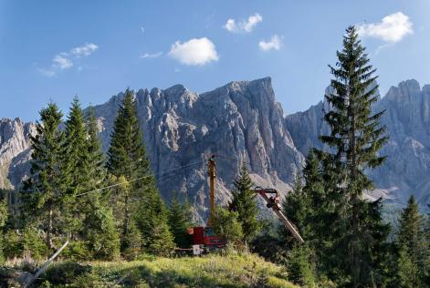 Aggiornate Interpretazioni e Direttiva FSC sulla Catena di Custodia