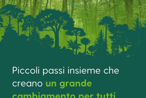 FSC Forest Week 2024: piccoli passi per un’azione globale collettiva