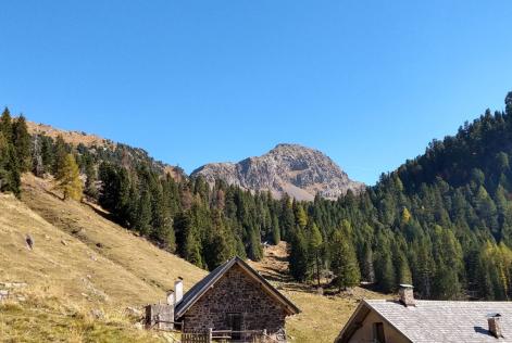 Ecco il nuovo Standard di gestione forestale per l’Italia