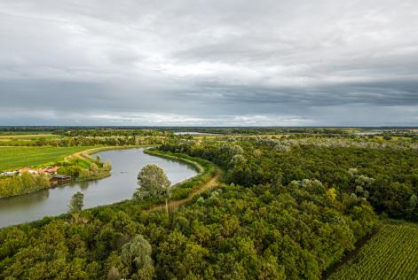 Un racconto di tre foreste