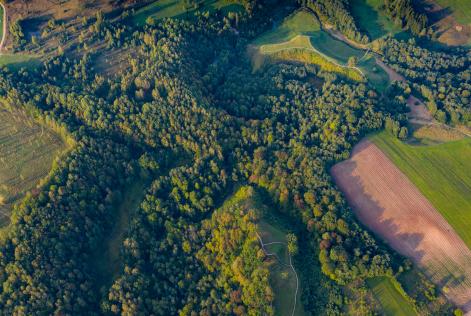 Nuova interpretazione sulla Gestione Forestale FSC