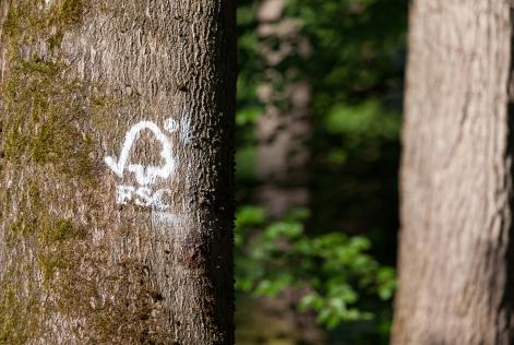 FSC Brand Hub: la nuova piattaforma per i marchi FSC 