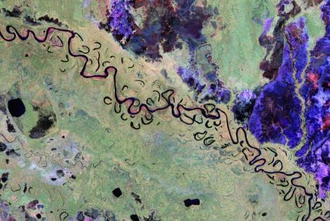 Capire e monitorare le foreste, da lassù
