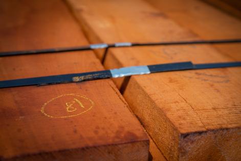 [CONSULTAZIONE] Revisione dell’Analisi del Rischio per il Legno Controllato FSC per l’Italia