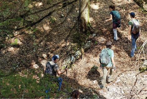 Boschi che uniscono - Il bando “Forest Association Contest” e gli strumenti per le associazioni forestali SMART