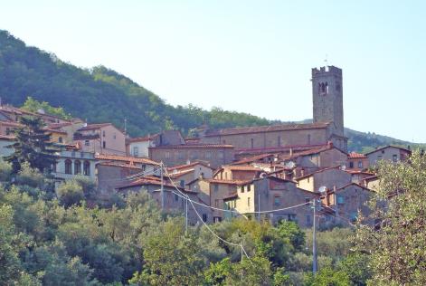 [CONSULTAZIONE] Consorzio Forestale di Villa Basilica (LU)