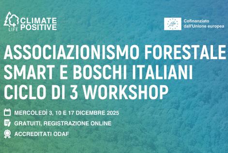 Un ciclo di workshop per un associazionismo forestale italiano SMART