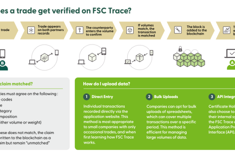 FSC Trace ora disponibile per tutti i titolari di certificati FSC®