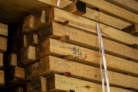  Il 2024 ha segnato un cambio di rotta per il mercato globale dei prodotti forestali