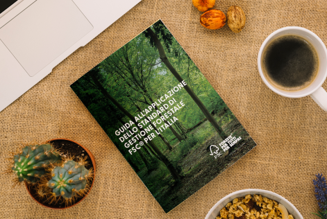La guida operativa che spiega lo standard di Gestione Forestale FSC® per l’Italia