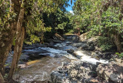 Aperte le consultazioni pubbliche su nuovi approcci per i Paesaggi Forestali Intatti