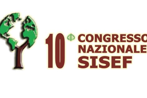 Congresso SISEF hero