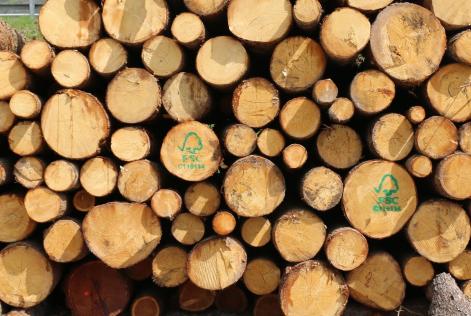 Aperta la consultazione sulla Procedura FSC per il Carbon Footprint