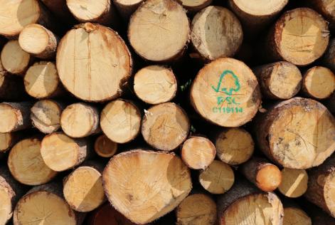 Disponibile la traduzione della nuova versione dello standard FSC-STD-40-004 V3-0