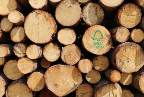 Certificazione FSC in Italia: il report 2016