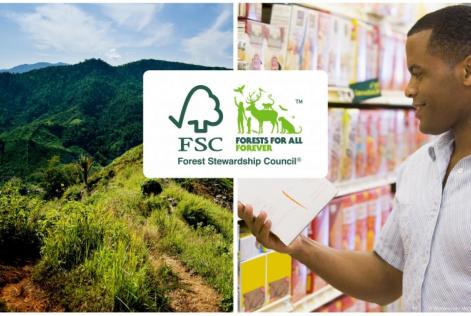 Webinar: FSC e GlobeScan sulla domanda globale dei consumatori per prodotti sostenibili
