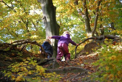 Foreste per tutti, per sempre ad Asiago in Fiaba 2018