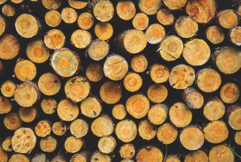 Disponibile la Guida Operativa dell’Analisi Nazionale del Rischio FSC per l’approvvigionamento di Legno Controllato dall’Italia