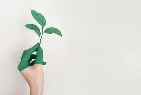 FSC Italia contribuisce al libro “Stewardship: la nuova sostenibilità?”