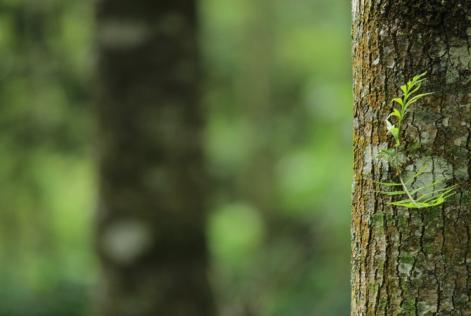 Consultazione aperta sugli indicatori generici internazionali per l’uso di pesticidi altamente pericolosi