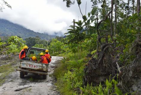 La gestione forestale responsabile parte (anche) dai diritti dei lavoratori