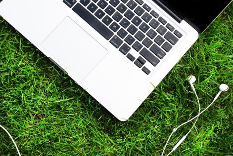 Unisciti al virtual hackathon e aiutaci a conservare le foreste