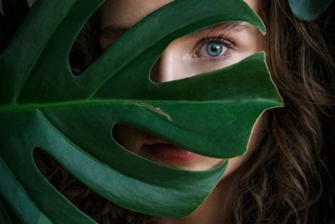 Settore tessile e foreste protagoniste di un nuovo webinar