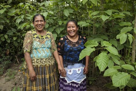 Il Guatemala punta sulle comunità forestali per ridurre gli incendi