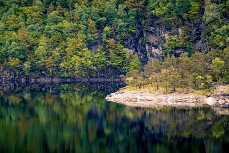 Dalle foreste ai mari, è ora di ripristinare gli ecosistemi naturali