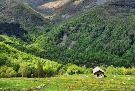 Aperte le consultazioni per la certificazione dell’Oasi Zegna (BI) e della Foresta di Tarvisio (UD)