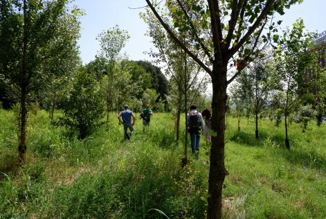 Gestione forestale FSC: nuovo appuntamento di formazione