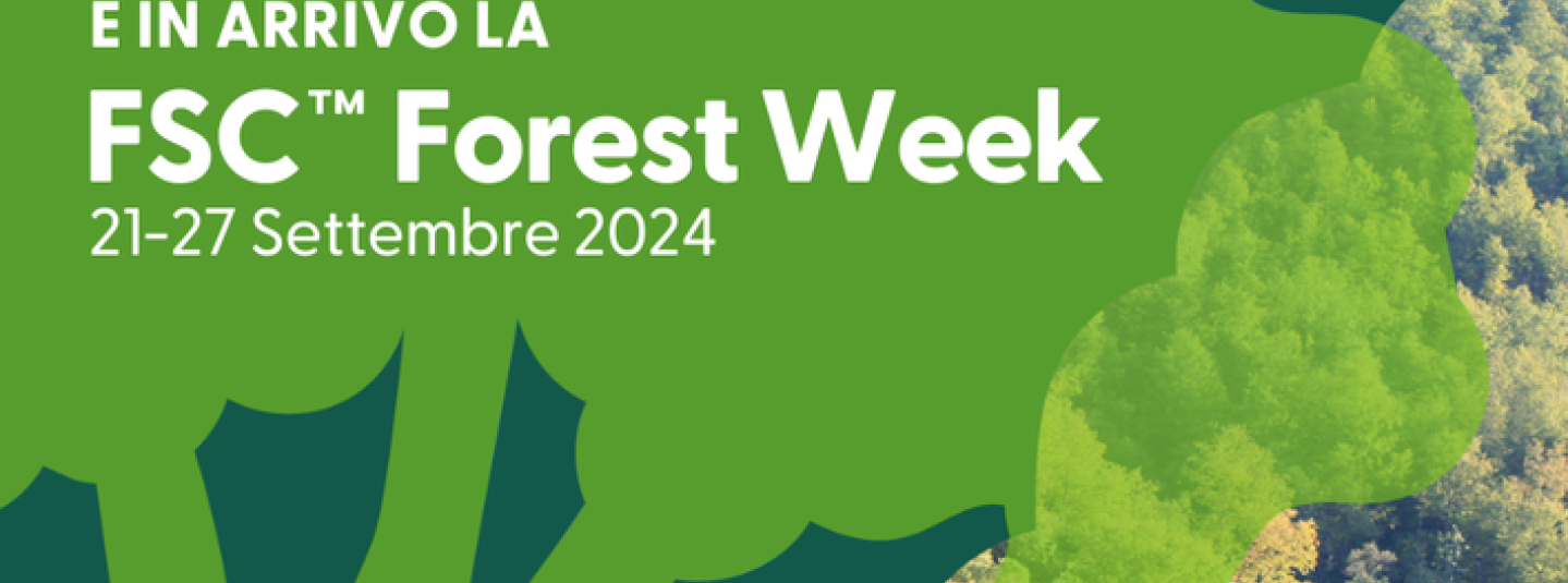 Una FSC Forest Week 2024 all’insegna di piccoli passi e grandi cambiamenti