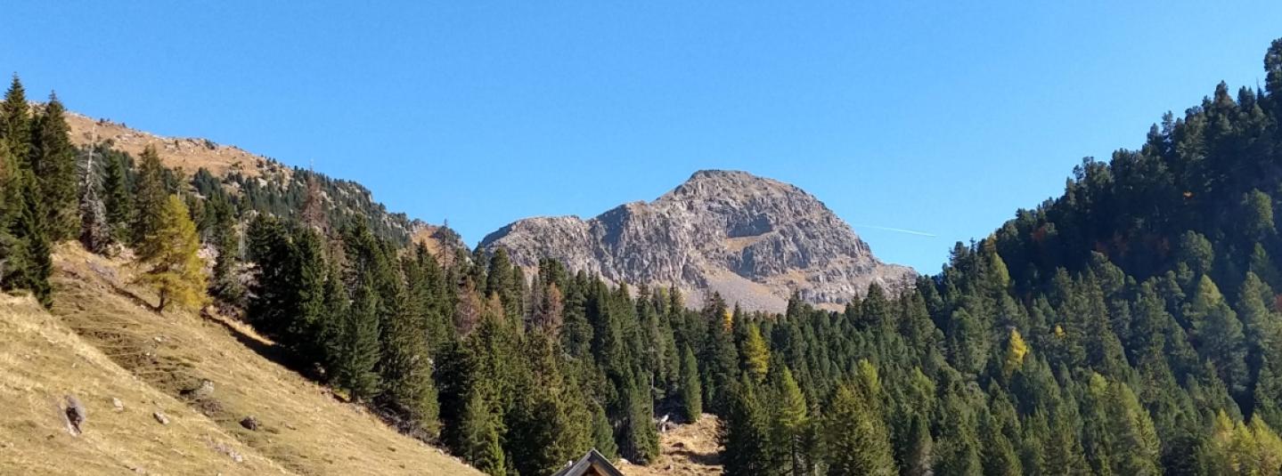 Ecco il nuovo Standard di gestione forestale per l’Italia