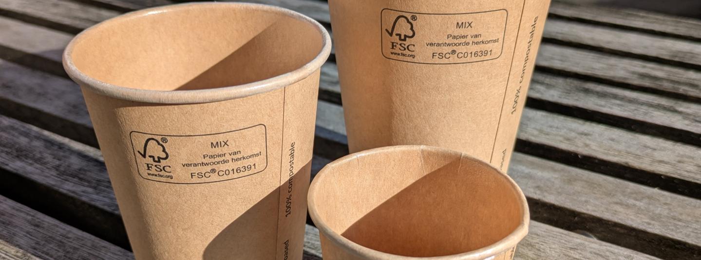  Certificazione FSC in Italia: il report 2025