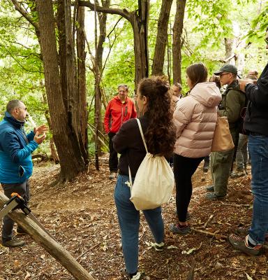 Eventi e workshop su associazionismo forestale SMART e boschi italiani