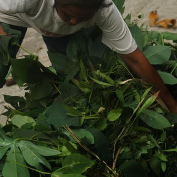 Trovare soluzioni praticabili per persone e ambiente